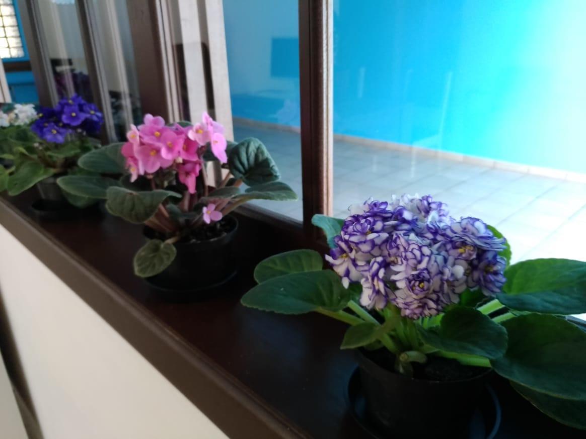 Hostel Villa Pomerania 포메로데 외부 사진